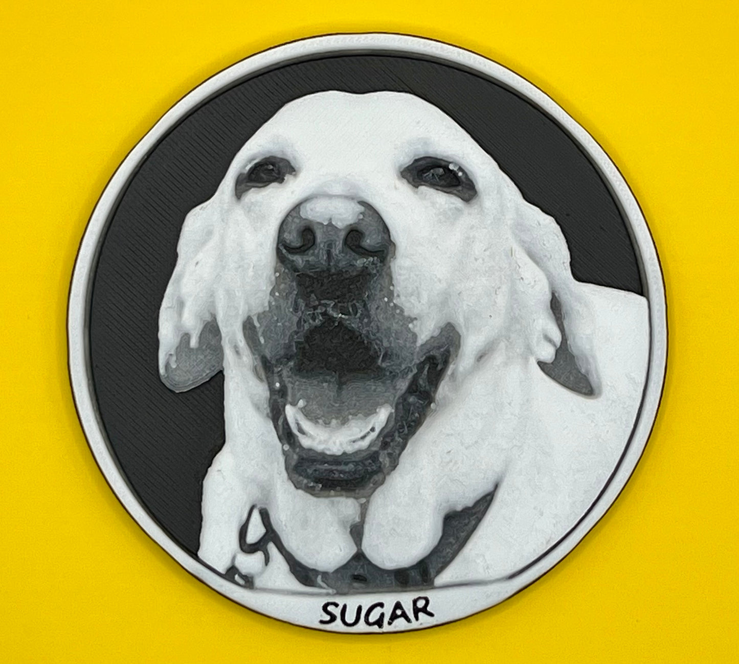 Custom Pet Refrigerator Magnets