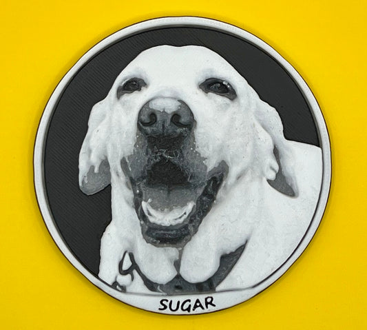 Custom Pet Refrigerator Magnets